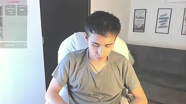 Nyko_ds webcam