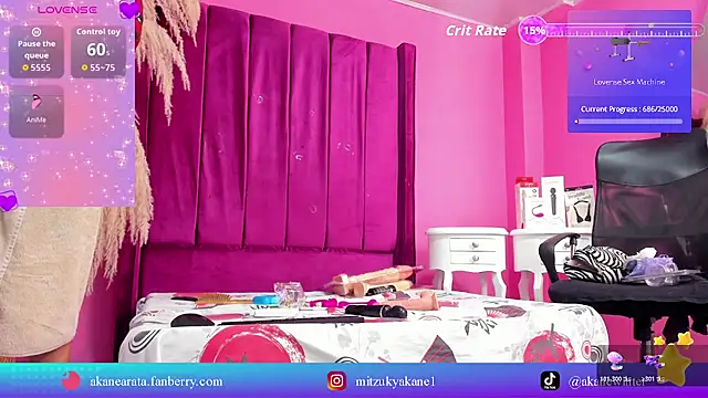 mitzukywinteer webcam