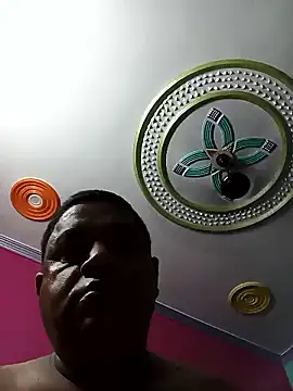 deshilnd webcam