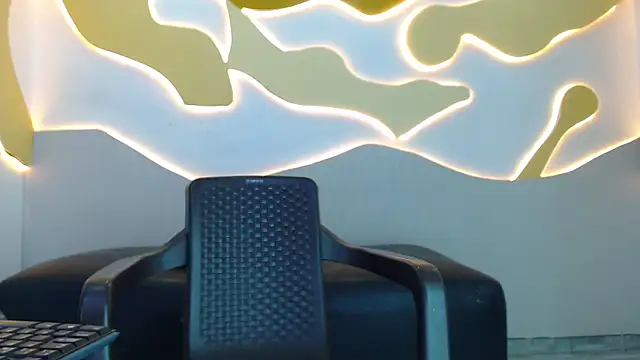 Hollmanhot webcam