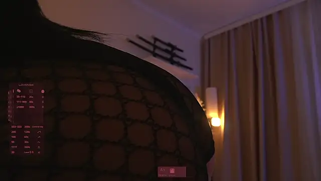 Akaruiiii webcam