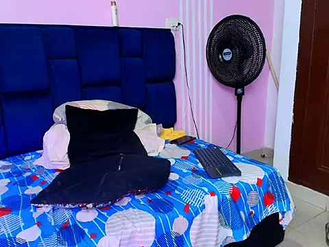 taylor_Stele webcam