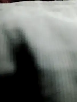 WonttoVender webcam