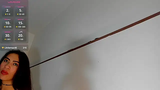 Valkiria_3 webcam