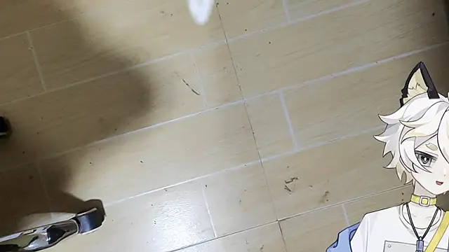 kawaimoe webcam