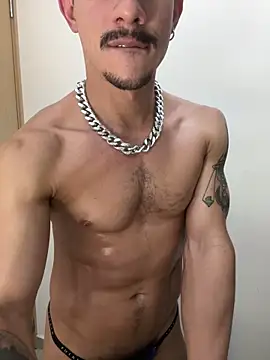 lazzon_bastion webcam
