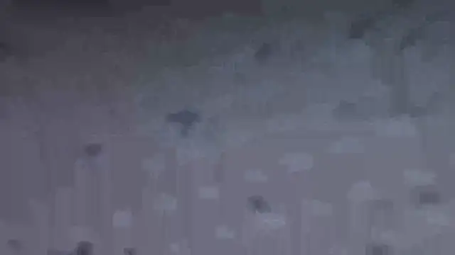 SEXY-ZENA live cam on StripChat