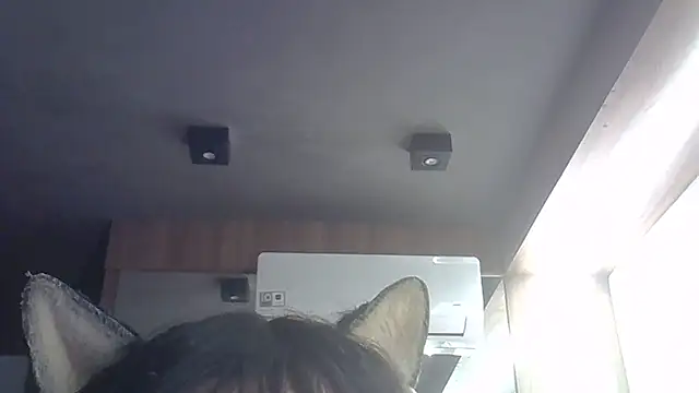 SkinnyKitten webcam