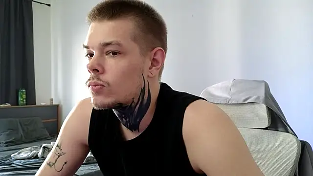 DENIS_HERE webcam