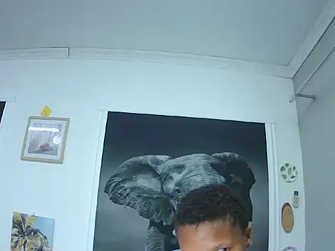 DivineShady