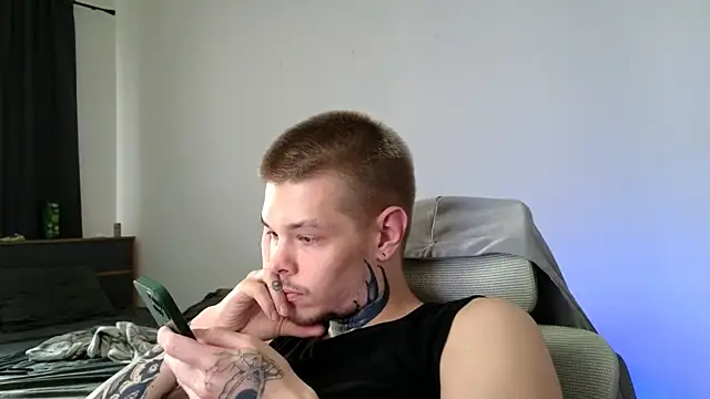 DENIS_HERE webcam