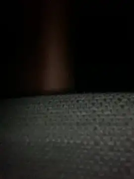 GusanoDelicioso webcam