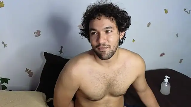FreyrStyle webcam