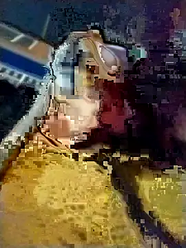 _Alaskamisa webcam