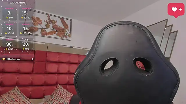 SaraWagner_ webcam