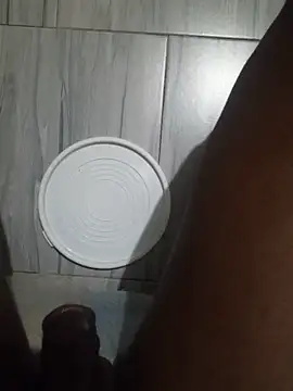 TICKDICK320 webcam