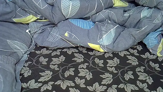 lam1523 webcam