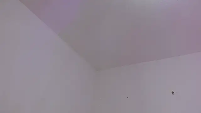 dulce_melocoton webcam