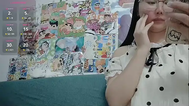 vvvan2026 webcam