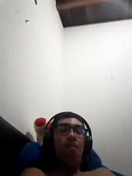 Velvettk webcam