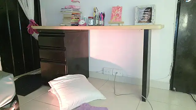 eva_sin18 webcam