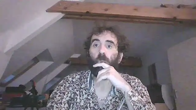 Mastersanges webcam