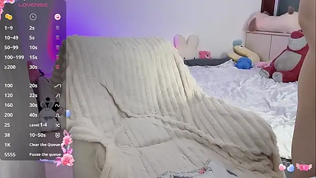 _flipped_ webcam