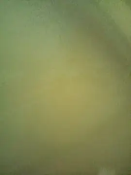 Anji8639 webcam