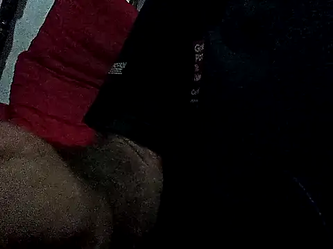 saraborges webcam