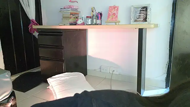 eva_sin18 webcam