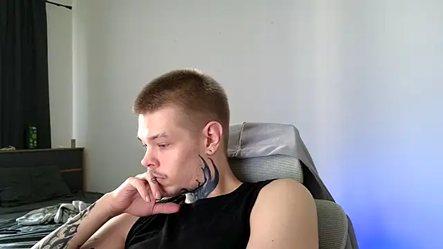 DENIS_HERE webcam