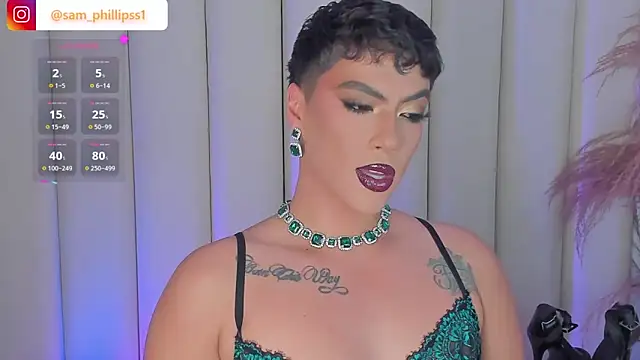 sam_phillipss webcam