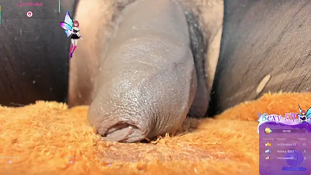 CharlotteLauren