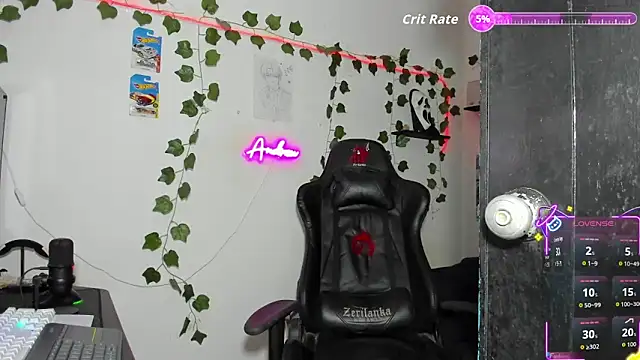 Noah_milleer webcam