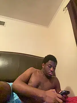 ThickDic28 webcam