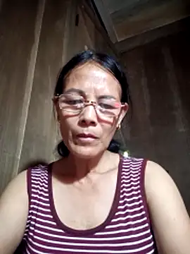 toyo_668 webcam