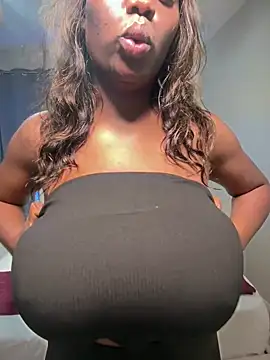 Topgyalmel webcam