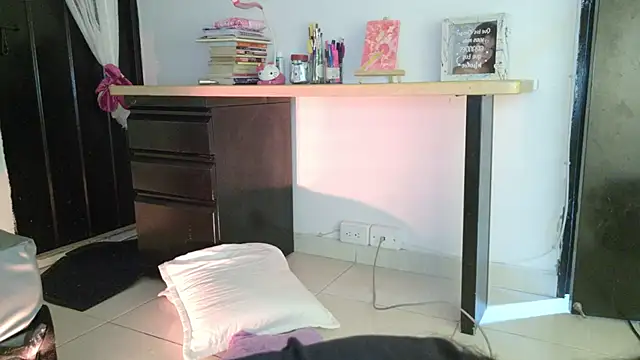 eva_sin18 webcam