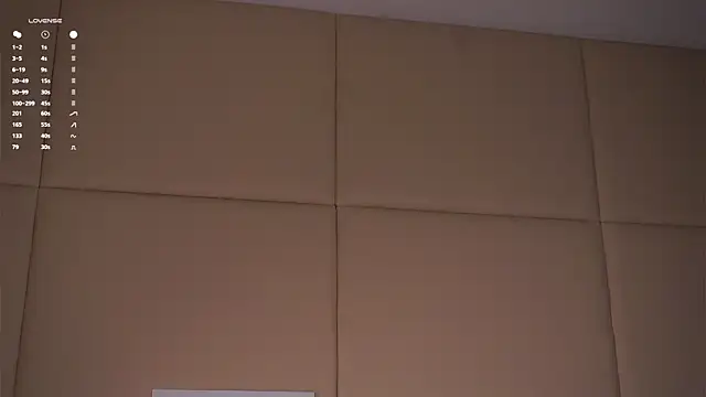 EdlinHargus webcam
