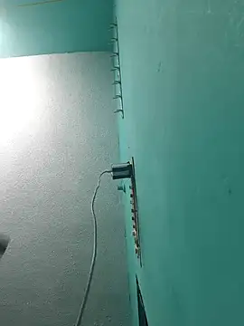 Villageanuty webcam