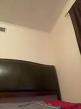 ThickDic28 webcam