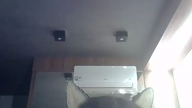 SkinnyKitten webcam