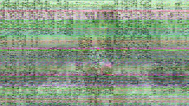 adahira08 webcam