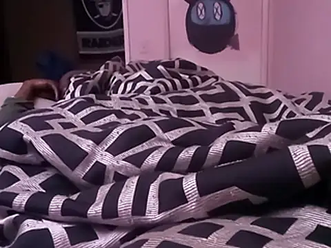 Blkstylion webcam