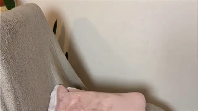Tomoe_b webcam