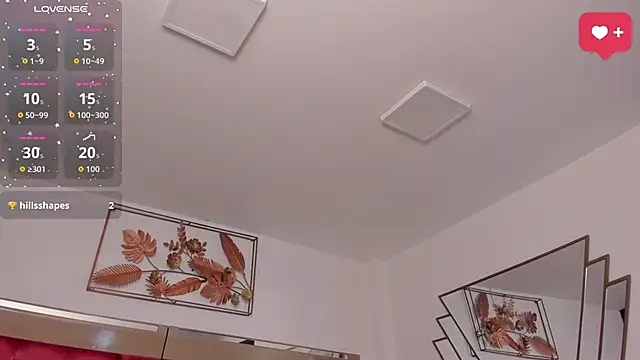 SaraWagner_ webcam