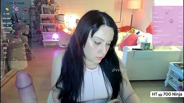 Vesagal webcam