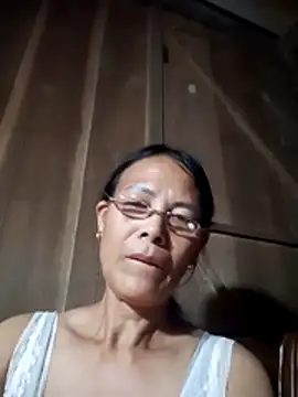 toyo_668 webcam