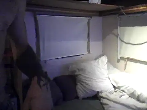 AdlibSaute webcam