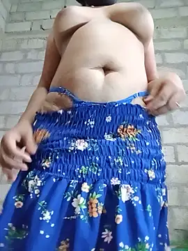 SLNISHU webcam